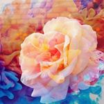 Kevin-Ray - Instagram Profile Picture of Kevin-Ray (@kay.ray2000) on Instagram