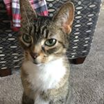 Profile Picture of Stacy Danielson (@danielson.stacy) on Instagram