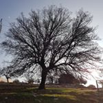 Profile Picture of A.Hajjar (@ahmad_hajjar_creativity_world) on Instagram