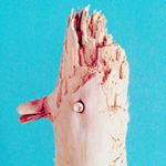 Giulia Romagnoli - Instagram Profile Picture of Giulia Romagnoli (@michael_yons) on Instagram