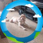 Profile Picture of Terry Stclair (@terry.stclair.37) on Instagram