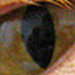 Profile Picture of Steven L. Brewer Jr. (@steven l. brewer jr.) on Flickr