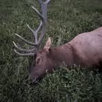 Profile Picture of Thomas Rutten (@thomas.rutten.90) on Facebook