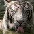Profile Picture of Drew Bascom (@bascom0323) on Pinterest