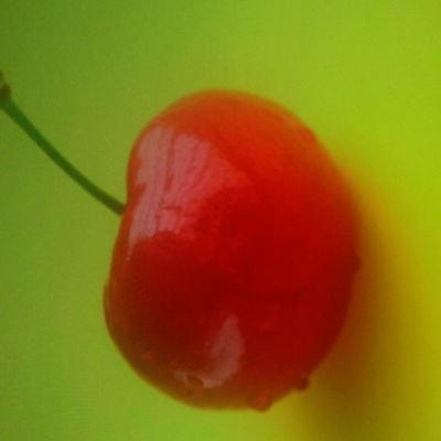 Profile Picture of Jerry Cherry (@Jerrycherry123) on Twitter