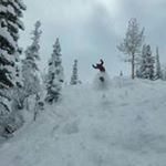 Chris Schenck - Instagram Profile Picture of Chris Schenck (@shankasaurousrex_) on Instagram