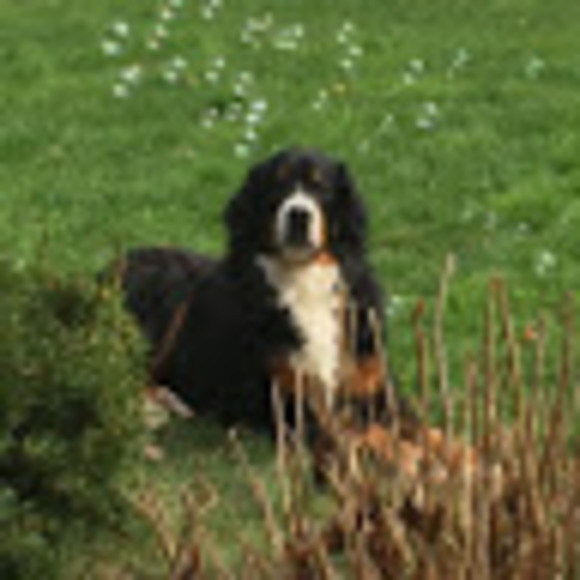 Profile Picture of Jaime Cancellieri (@j_cancell) on Poshmark