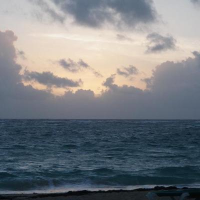 Profile Picture of Kris Keane (@GatorsBack2015) on Twitter