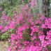 Profile Picture of Maureen Peeples (@maureen.peeples.52) on Facebook