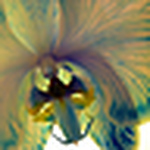 Profile Picture of Cassandra Rohme (@cassandra rohme) on Flickr