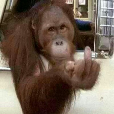 Profile Picture of Jason Stancliff (@1320Camaro) on Twitter