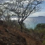 Profile Picture of John Smith (@heinlein13) on Instagram