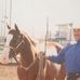 Profile Picture of Randy Bains (@randy.bains.583) on Facebook
