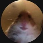 Profile Picture of Jared_Prickett (@jar.ed.pri.cke.tt) on Instagram