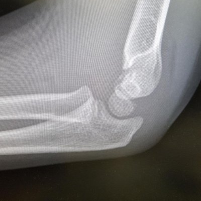 Profile Picture of Chad Bones (@Chad23003066) on Twitter