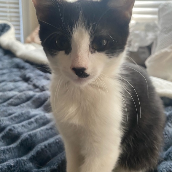 Mandy Graham - Poshmark Profile Picture of Mandy Graham (@doffybb) on Poshmark