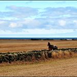 Profile Picture of Tone Brit Øvestad (@tonebritovestad) on Instagram