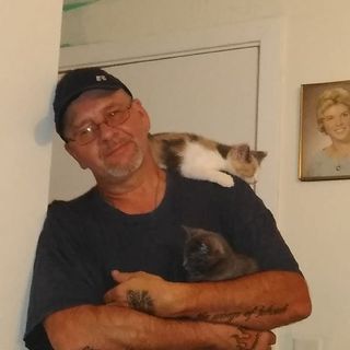 Profile Picture of Jeff Stillman (@jeffcjeffrey) on Instagram