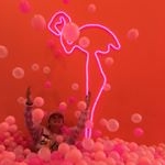 Profile Picture of bailey.helmer (@bailey.helmer) on Instagram