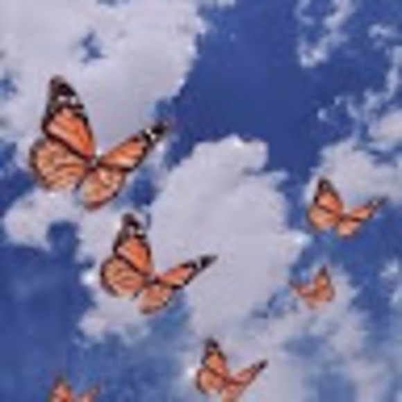 Rebecca Wortley - Poshmark Profile Picture of Rebecca Wortley (@rebwort0810) on Poshmark