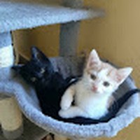 Profile Picture of Eric Heinrich (@eric-heinrich-15) on Quora