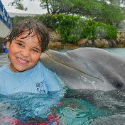 Profile Picture of Paul Gillham (@PaulGillham) on Youtube