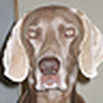 Profile Picture of *tsomo* (@*tsomo*) on Flickr