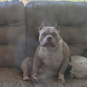 Danny Fine - Youtube Profile Picture of Danny Fine (@dannyfine9633) on Youtube