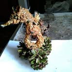 Mario Bossio - Facebook Profile Picture of Mario Bossio (@Mario-Bossio) on Facebook