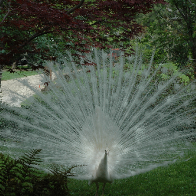 Profile Picture of Nancy Edwards (@nancyedwards20) on Twitter