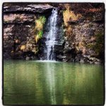 Profile Picture of Randolph Patterson (@randolphedwin) on Instagram