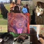 Profile Picture of Dixie & Patrick Huey (@rvrebelles) on Instagram