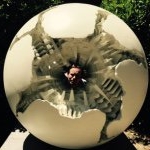 Profile Picture of Tyler Ritter (@atylerritter) on Instagram