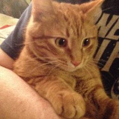 Kristopher Brady - Twitter Profile Picture of Kristopher Brady (@KrisScottBrady) on Twitter