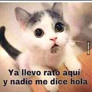 Profile Picture of Maria Montezuma (@mariamontezum14) on Twitter