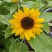 Profile Picture of Dawn Eberhardt (@stacey.weber.1656) on Facebook