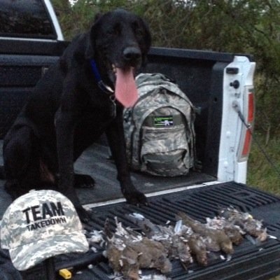 Profile Picture of Chris Feist (@chopperfeist) on Twitter