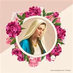 Profile Picture of Emilia Krawczyk (@Emilia-Krawczyk) on Facebook