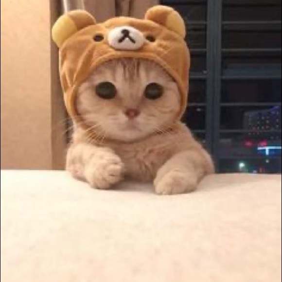 Profile Picture of Julia Shteyngart (@jshtey) on Poshmark