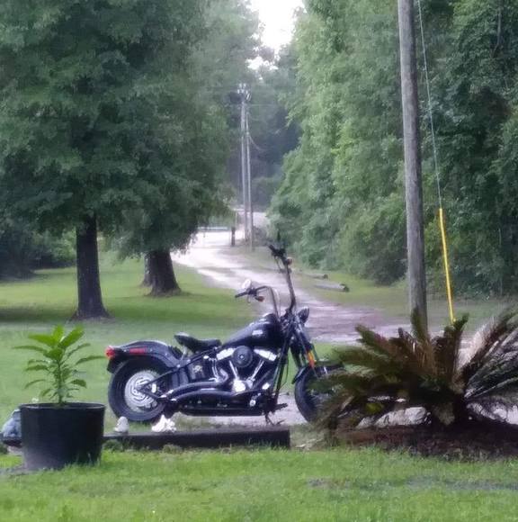 Profile Picture of Mary Bogun (@brooklyn1251) on Poshmark