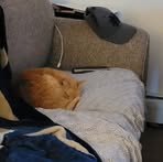 Profile Picture of Justin Brickell (@Jutbrickell) on Facebook