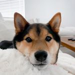 Profile Picture of Raiden Chinyavong (@raiden.dirty) on Instagram