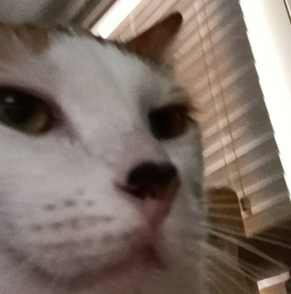 Profile Picture of Aiden Lowery (@jakrispy554) on Poshmark