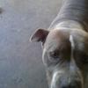 Profile Picture of Cesar Iniguez (@@kobe8493) on Tiktok