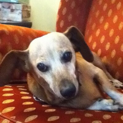 Profile Picture of Larry Davison (@larrynfairhope) on Twitter