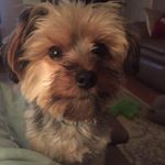 Profile Picture of Lori Carroll (@lori.carroll.35) on Instagram