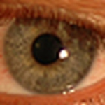 Profile Picture of Kevin Collins (@virtuallykc) on Flickr
