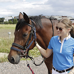 Profile Picture of Sofia Tuuri (@sofia.tuuri) on Flickr