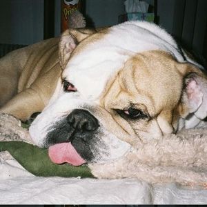 Profile Picture of Darryl Brooks (@185699816) on Myspace