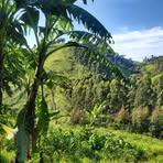 Profile Picture of Donal Peterson Nguya (@dondedieu.nguya.5) on Facebook